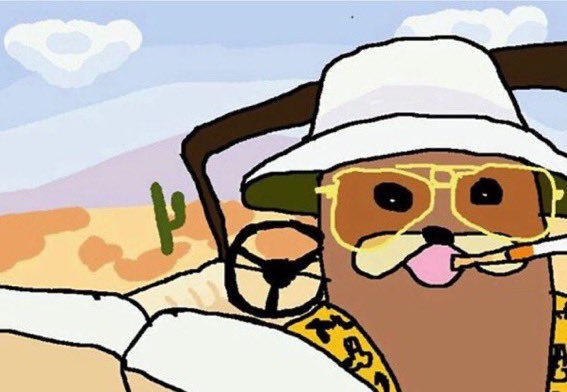 crypto messiah 🌞 tweet media