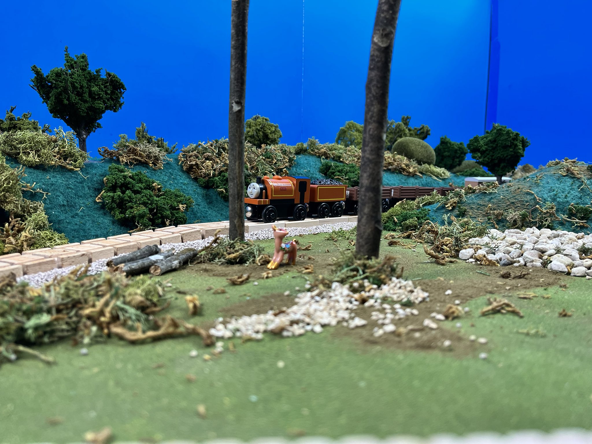 twrc-vice-president-roman-on-twitter-i-m-back-again-https-t-co