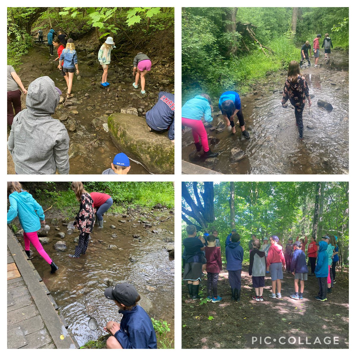 maddockLF's tweet photo. A fun day spent learning, eating and getting wet at @WildwoodCA! @LittleFallsPS https://t.co/aFoETukwsE