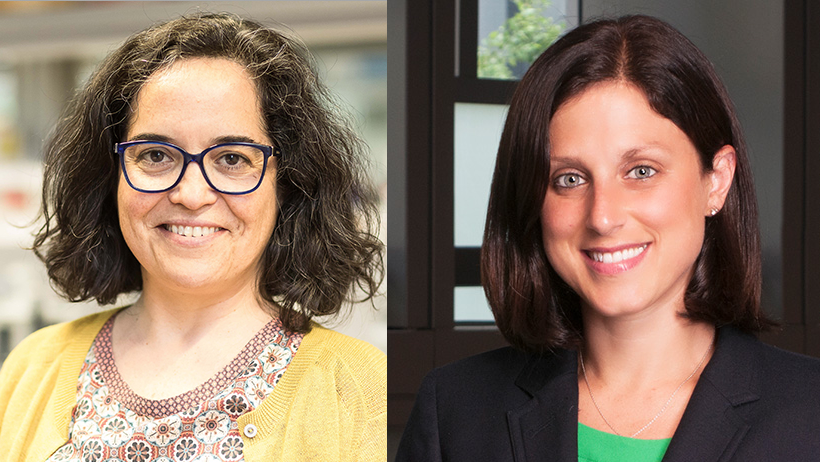 NatureBiotech's tweet photo. Our latest #NBTForum podcast features @apombo1 and @CreminsLab talking with senior editor Barbara Cheifet about how new methods to look at the 3D genome are providing insights into the links between genome structure and cellular function https://t.co/C5n0dyg9gB https://t.co/PoMyhG5sH7