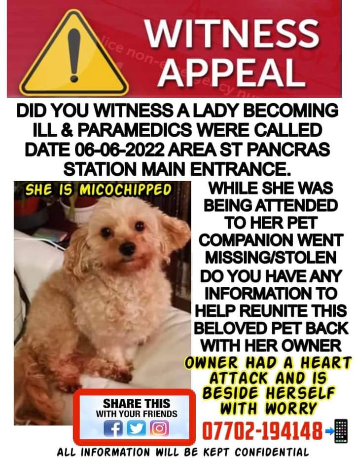 joannew0112's tweet photo. ‼️JESSIE NOW MARKED AS STOLEN‼️

🆘PLS SHARE FOR WEE JESSIE🆘

Group link 👇
https://t.co/16wmnRWfaN

Doglost link 👇
https://t.co/ehGtNJ6XlA last seen #StPancras
#London #FindJessie

https://t.co/cRfYaaJ40r https://t.co/Pon9zzjdCN