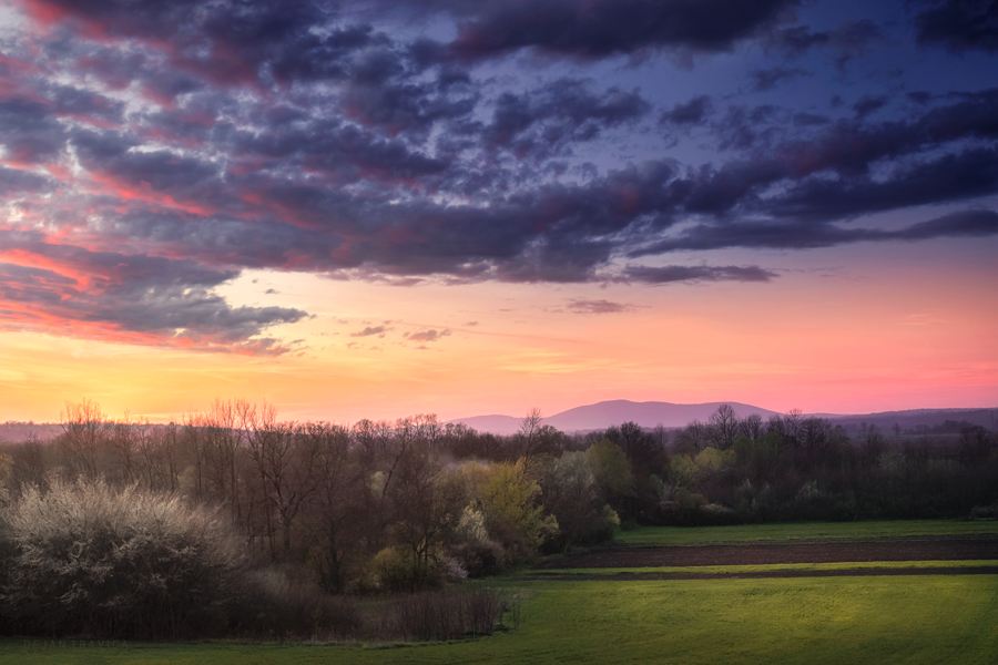 New artwork for sale - Early spring in the field at sunset dejan-travica.pixels.com/featured/early…

#spring #april #blossom #trees #springfield #sky #sunset #grove #serbia #sumadija #nature #naturescene #serbiannature #naturephotos #serbianlandscapes #landscape #landscapephotography #fineart