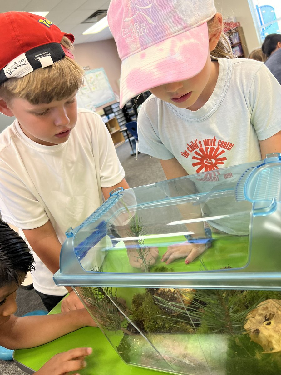 Gina Torres (@srta_torres22) on Twitter photo One last peek to our terrarium 🥰🥰🥰<a href="/JeffreysGroveES/">Jeffreys Grove Elem</a> <a href="/jgmespta/">Jeffreys Grove PTA</a> <a href="/ParticipateLrng/">Participate Learning</a> One last peek to our terrarium 🥰🥰🥰<a href="/JeffreysGroveES/">Jeffreys Grove Elem</a> <a href="/jgmespta/">Jeffreys Grove PTA</a> <a href="/ParticipateLrng/">Participate Learning</a>
