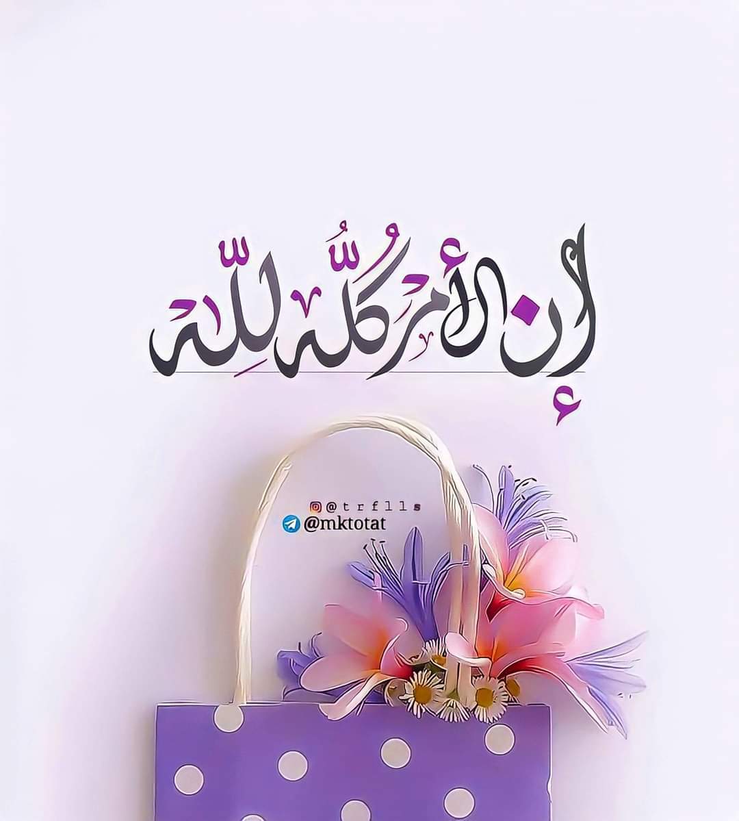 #بحبك_لانك الله وإنَ الامرَ كُلُهُ للّه💜