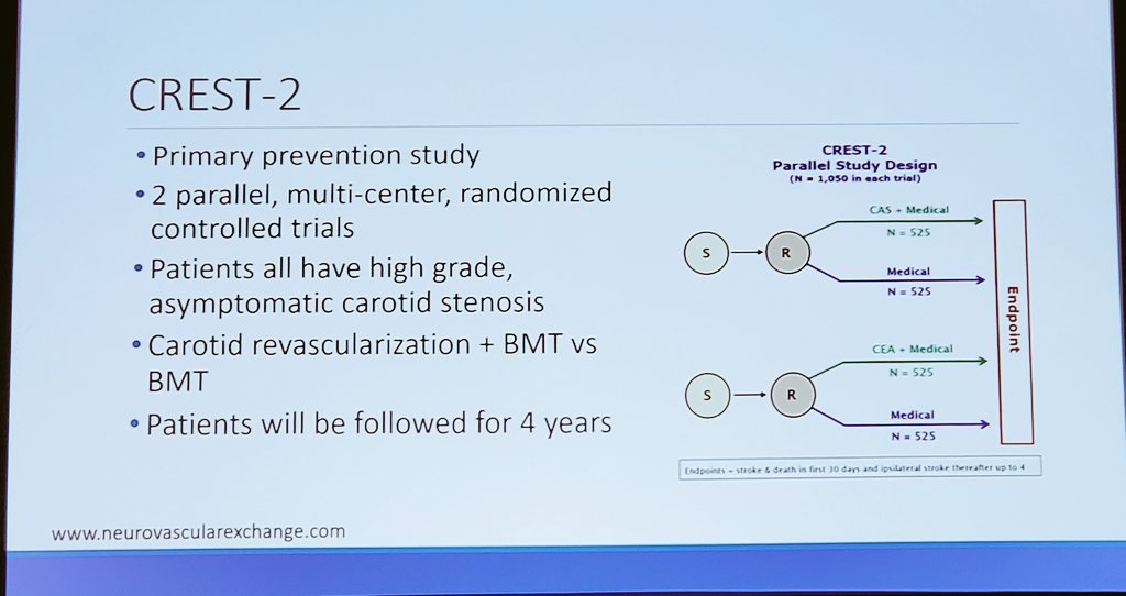 modeldoc's tweet photo. Session 3: @RLeLeiko
❤️ Updates on Carotid Artery Disease
❤️#Sex differences 
❤️#healthylifestyle #medicaltherapy 
@emoryheart @emorywomenheart @EmoryCCRI @EmoryDeptofMed @emoryhealthcare #cardiotwitter #ESCAPE22 https://t.co/mwhKabsVUV