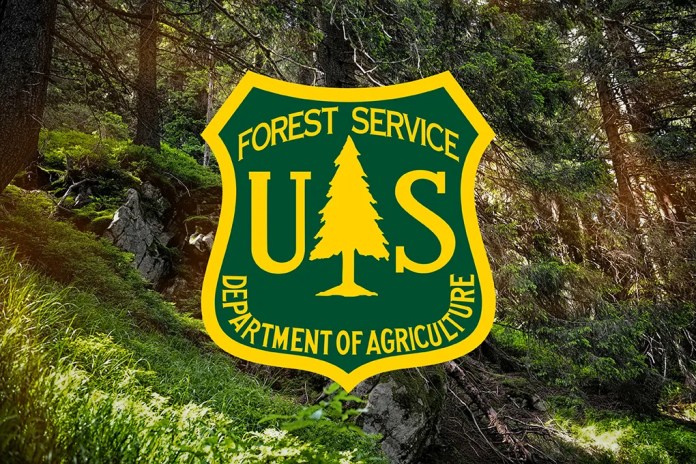 Some areas burned in the 2020 Castle and 2021 Windy fires will be open to recreation this summer in the Western Divide Ranger District, Sequoia National Forest. Learn more at facebook.com/SequoiaNF