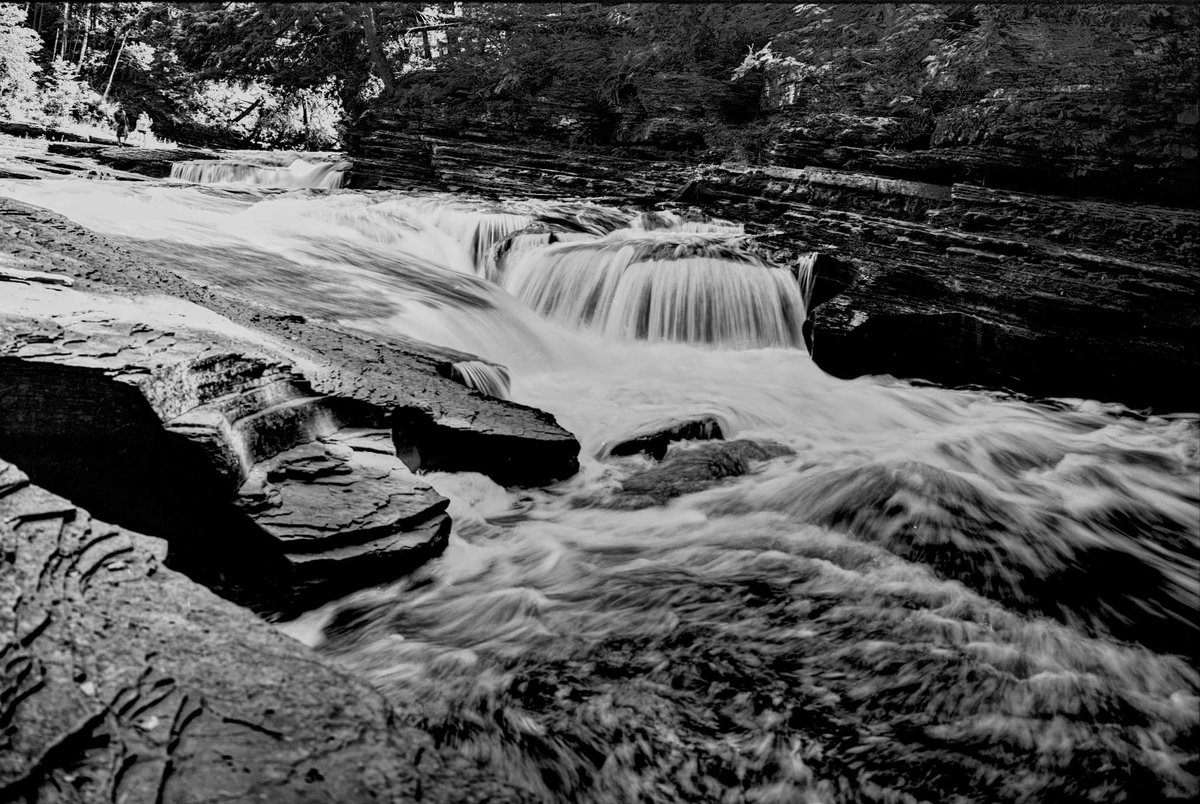 teschstearsheet's tweet photo. @dailylthreads #pinhole #blackandwhite #realcamera #film #ilford #6x12 https://t.co/Sipb7Lf1Xn