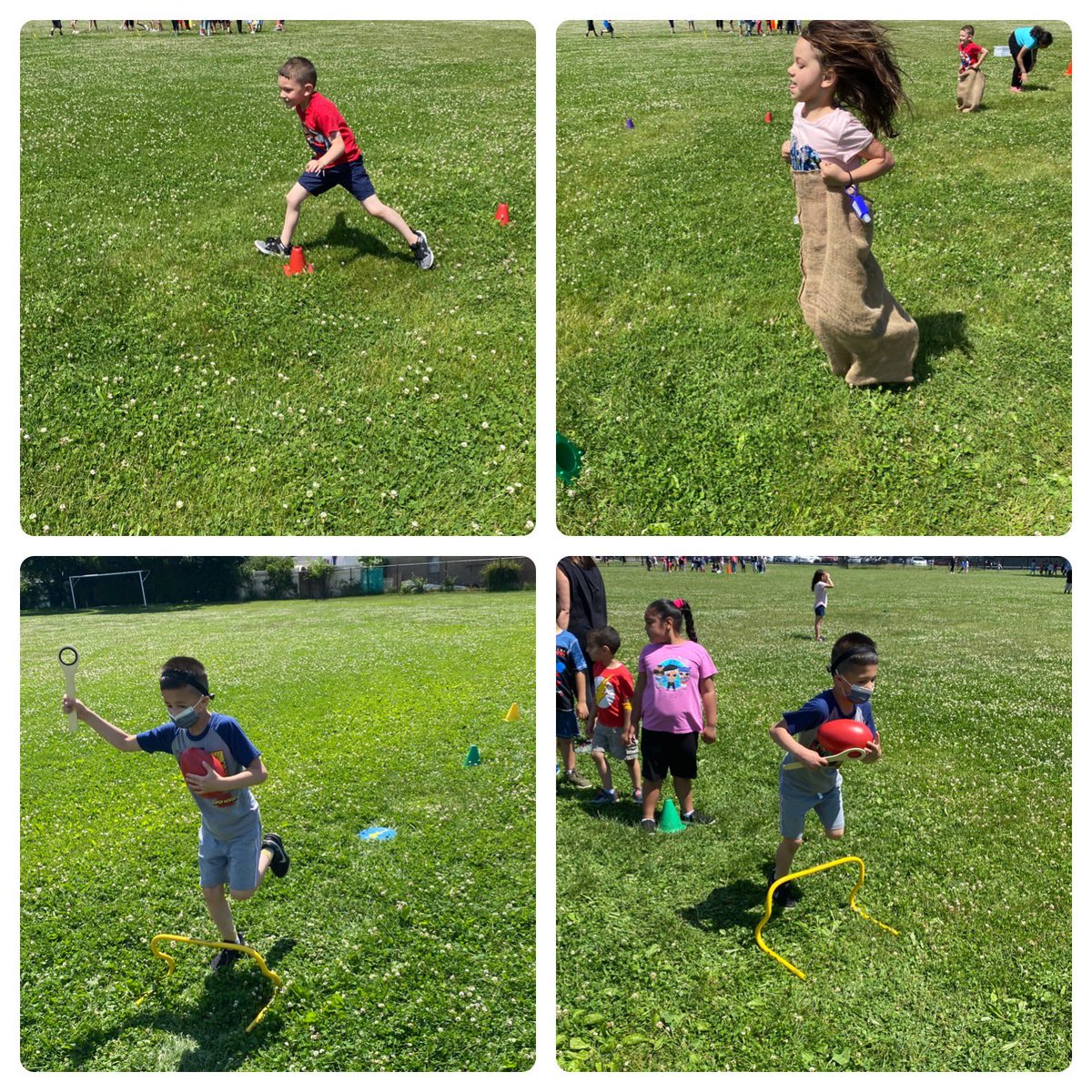 Lisa Mueller tweet media