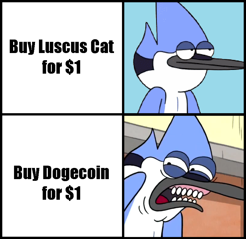 Luscus Cat tweet media