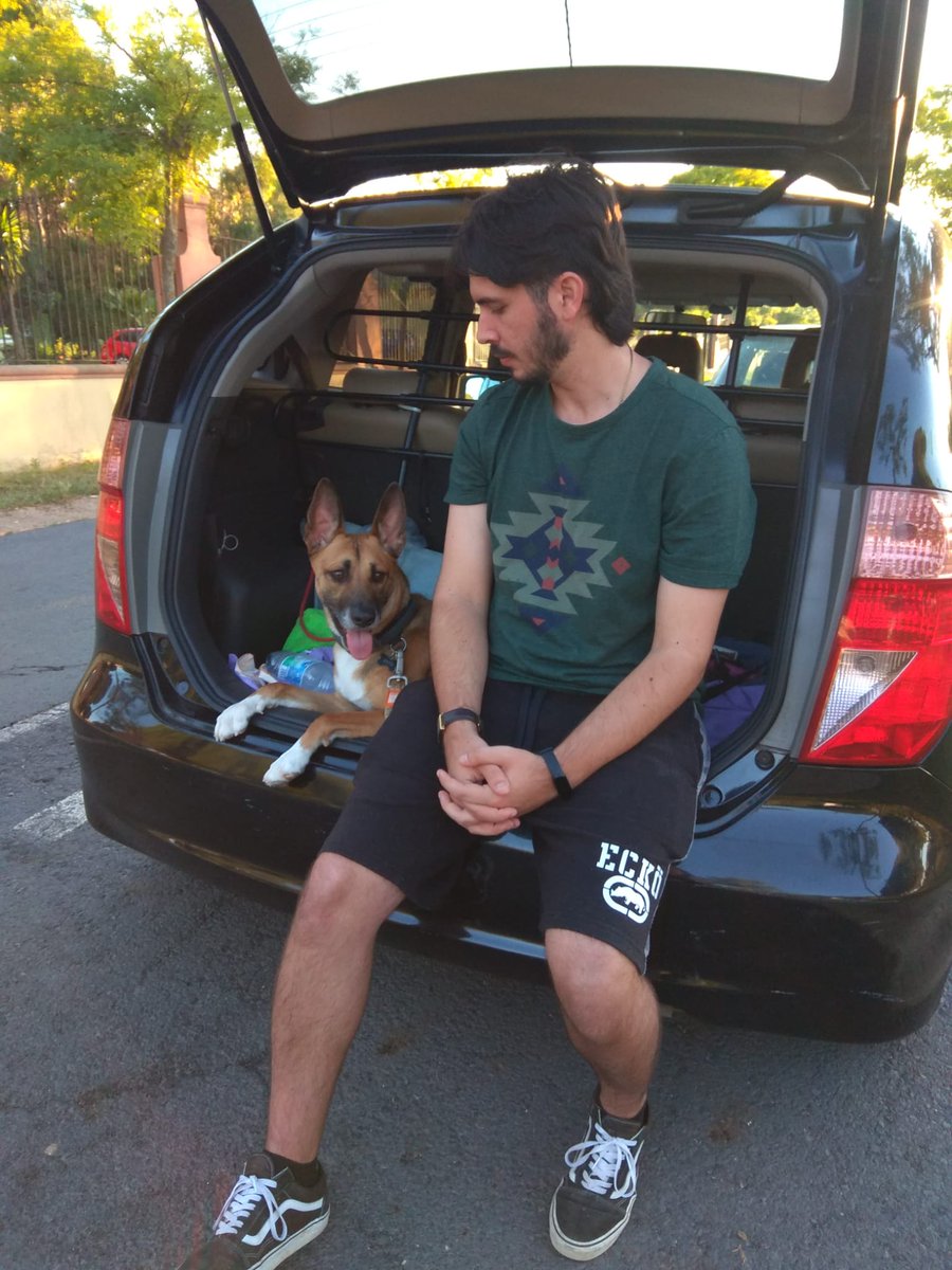 Alvaritouh's tweet photo. 🐕‍🦺☀️ https://t.co/xjRGDmj7jD