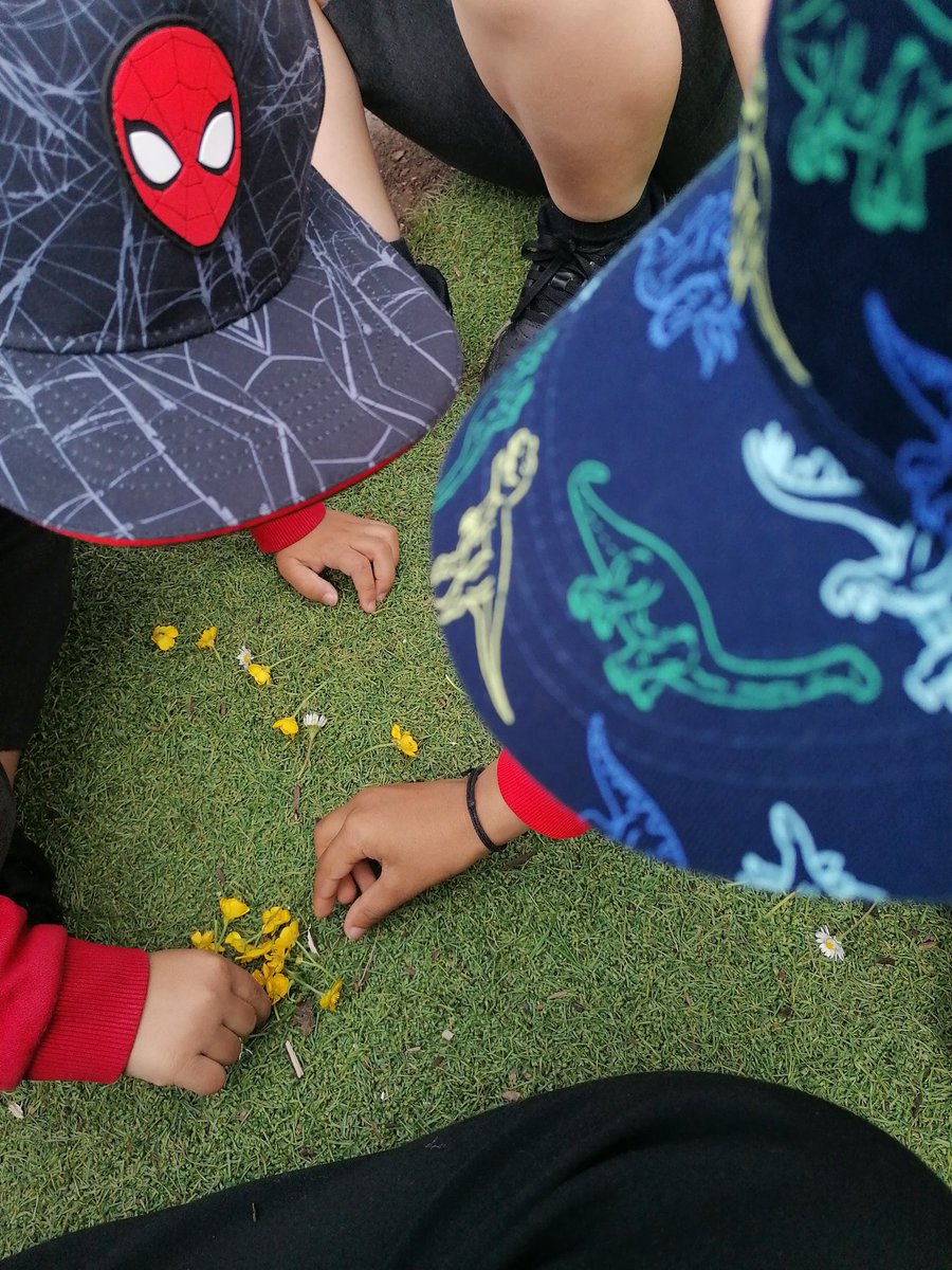 Today the children decided to use flowers to practise their pattern making skills!