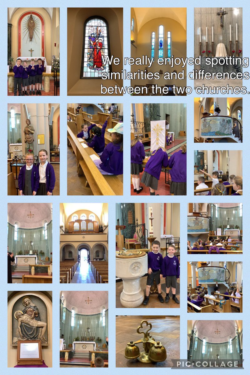 SJVlower tweet media