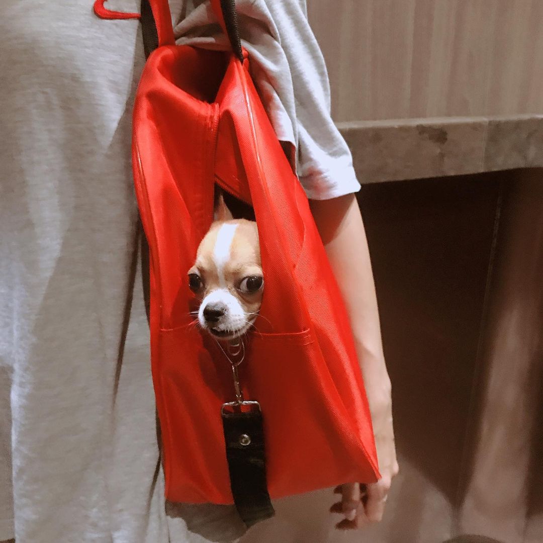 😂😂😂My stomach hurts from laughing.