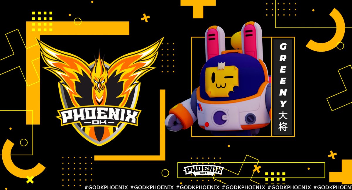 DK PHOENIX ELITE tweet media