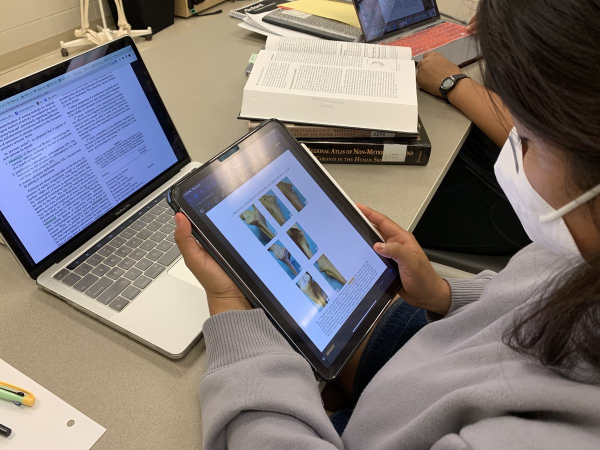 REU Bioarchaeology of Bronze Age Social Systems tweet media