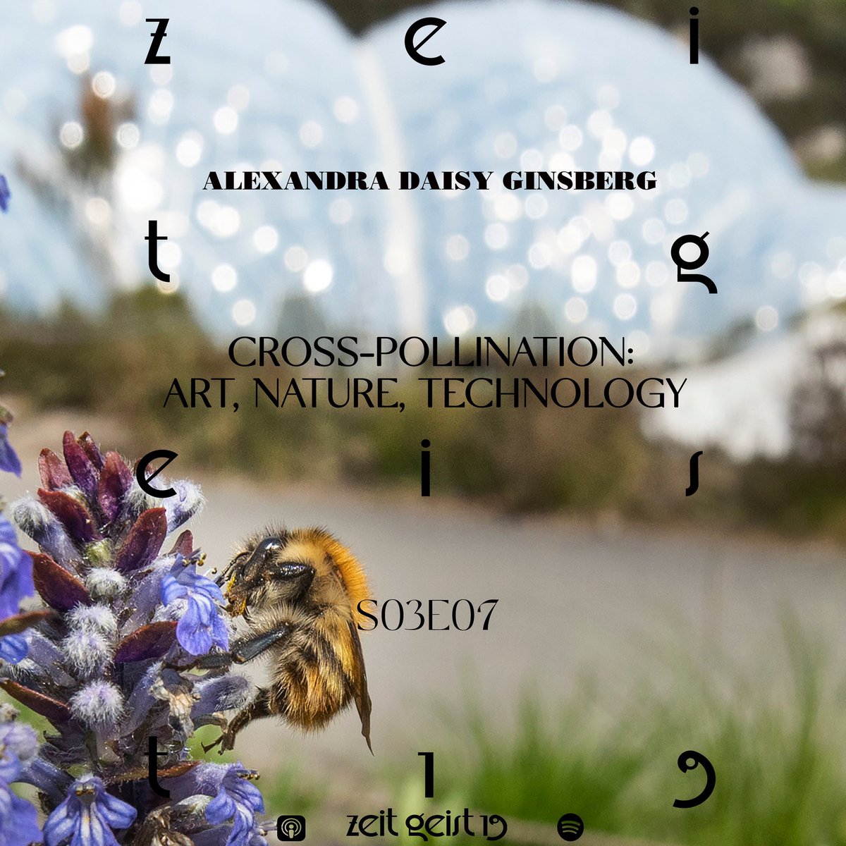 ZEITGEIST19 tweet media