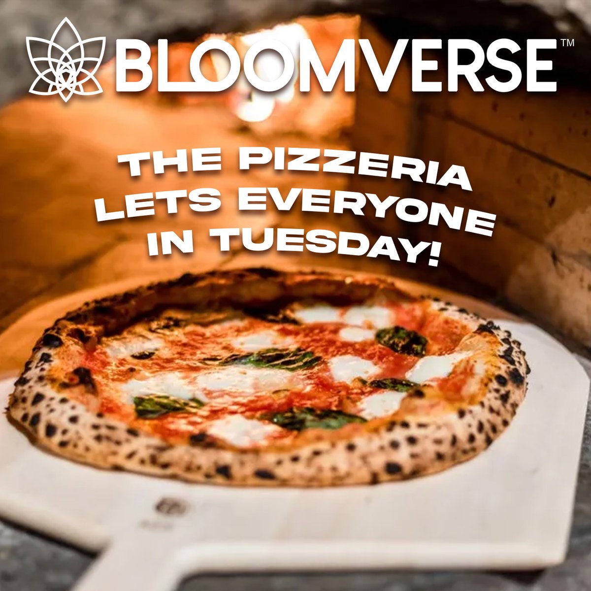 BLOOM tweet media