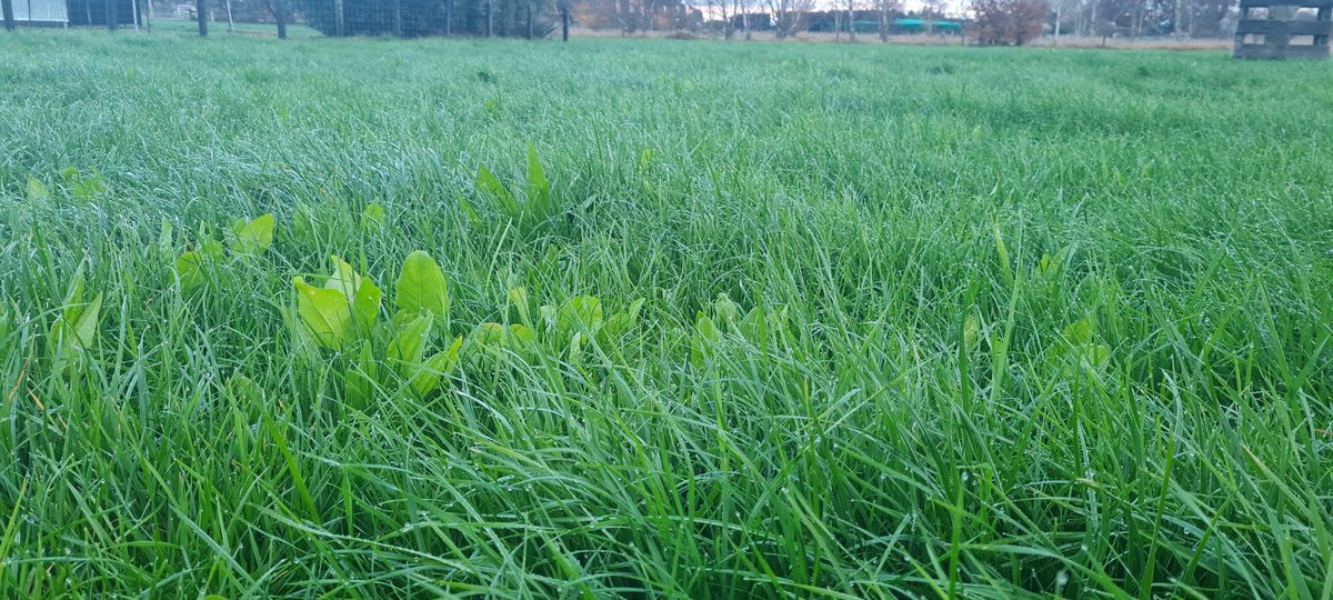 Farmers No Borders tweet media