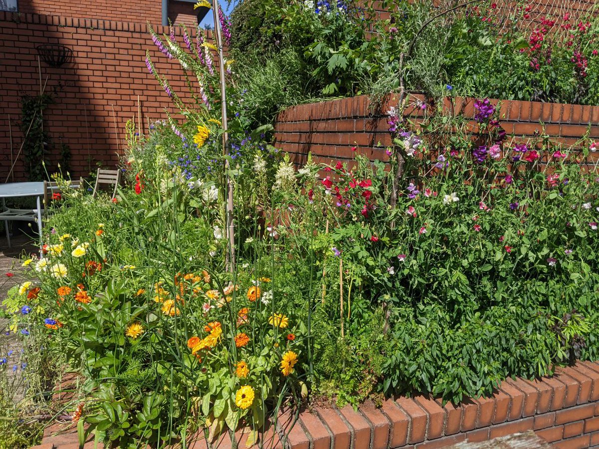 JJ_Gazette's tweet photo. 2/2
Flowerville 2022 ... how it's going (9 June 2022):
#Floweville2022 #Flowerville #JamesJoyce #Ulysses #Ulysses100 #Bloomsday2022 #Dublin https://t.co/KaYsPJ30U5