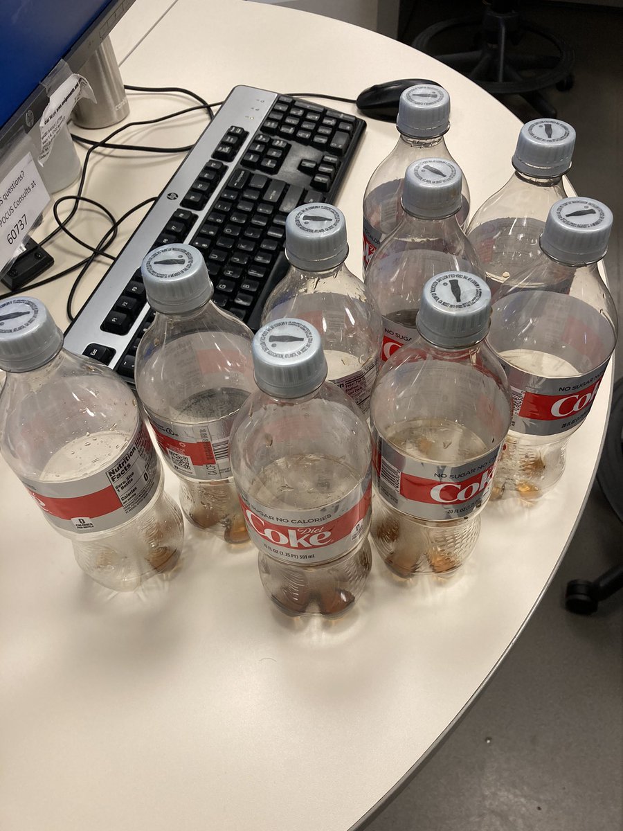 Samantha Stringer tweet media