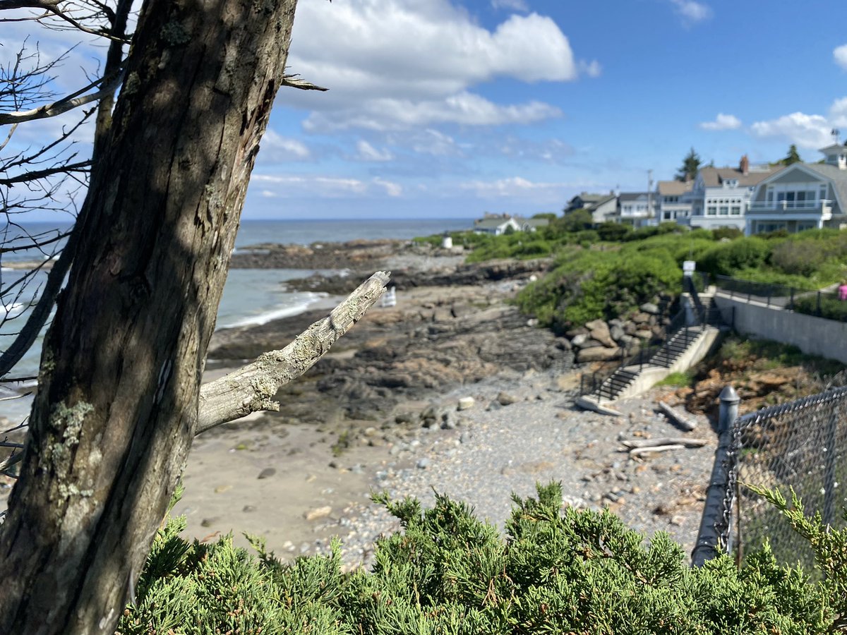 BeachmereInn's tweet photo. Thursday in #maine #ogunquitmaine #ogunquit https://t.co/LeWzxbhBj7