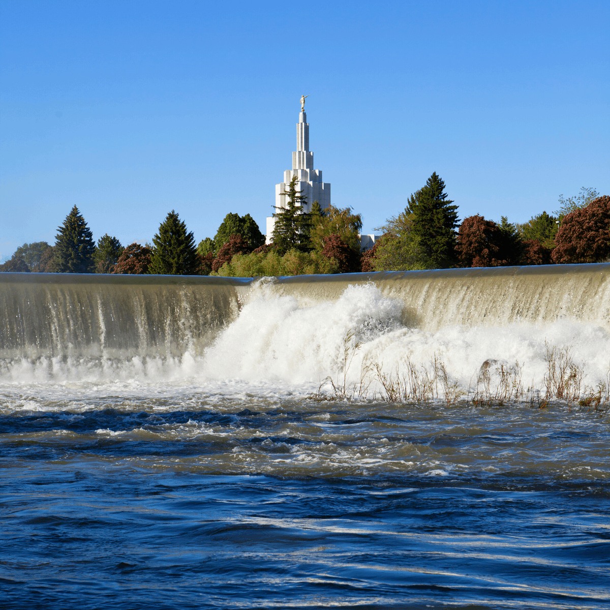 ahaairlines's tweet photo. Book now: Nonstop flights between Reno ↔️ Idaho Falls (@IFlyIDA) begin Aug. 11, 2022! Flash Sale Fares as low as $29* one way until June 13 for travel Aug. 1 - Sept. 30, 2022 -FOR ALL ROUTES- Promo code: RENOSUMMER29
👉 *Based on availability. Visit https://t.co/9G5vtbtZli https://t.co/MuOWi2HSNL