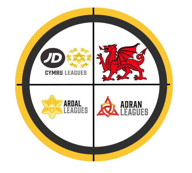 Random Welsh League Players tweet media