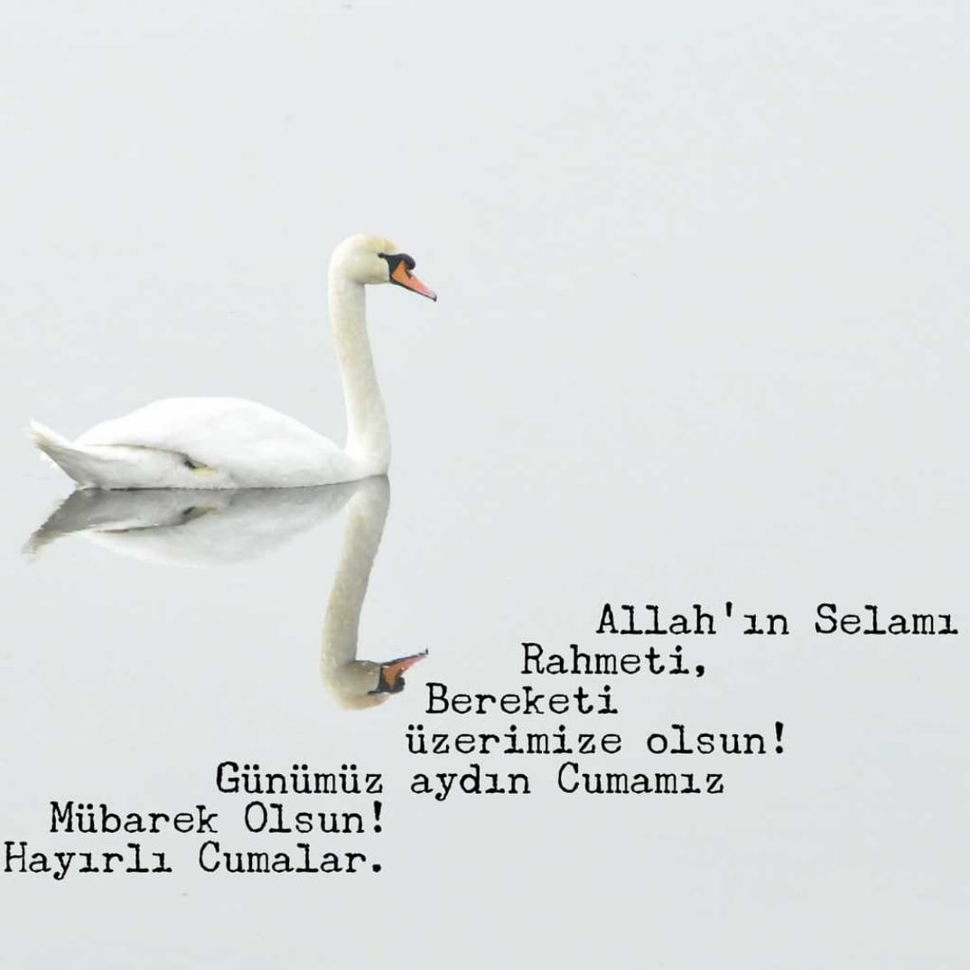 Hayırlı Cumalar Canım TÜRKİYE'M,Kardeşlerim Allah'ın Rahmeti Ve Bereketi Üzerinize Olsun İşiniz Gücünüz Rast Gelsin Vesselam.@cuma @turkiye #cuma #Türkiye #HayırlıCumalar