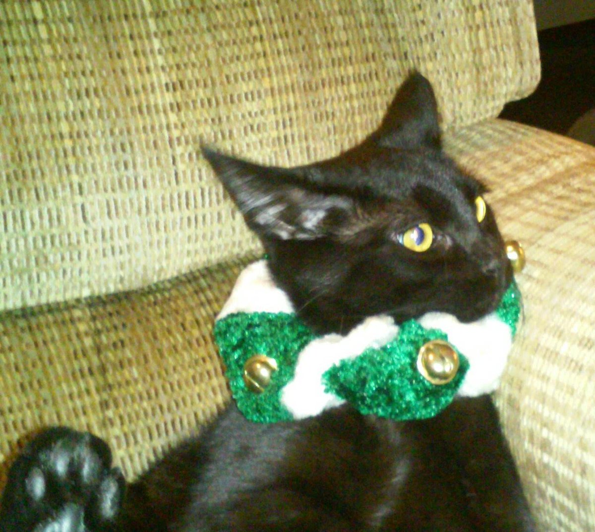 #ThrowbackThursday  awww youth😹 Hey pals have a good day