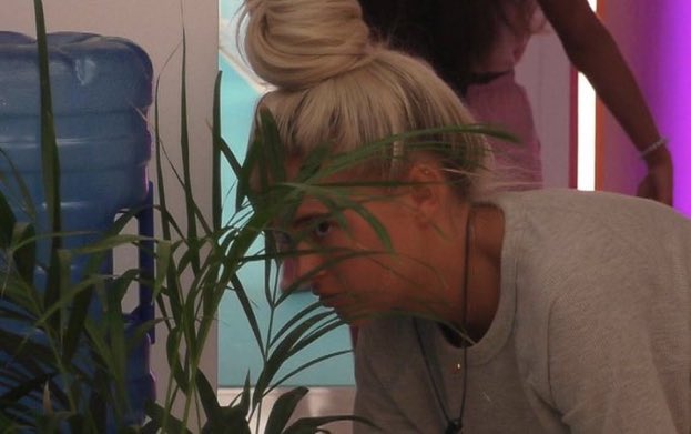 forestcolard's tweet image. the girls on the terrace like #loveisland