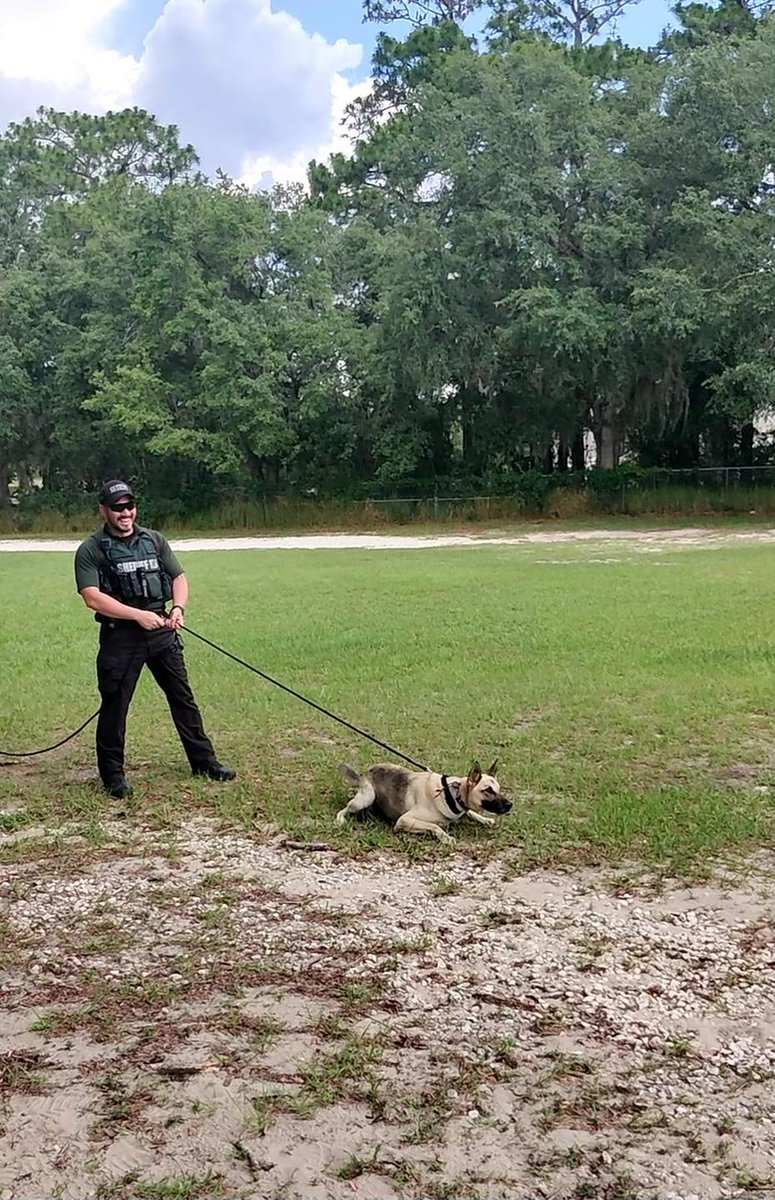 HARMONY IN FULL SWING - Check out these fun photos from our Harmony in the Streets day camp in partnership with the Florida Sheriffs Youth Ranches!