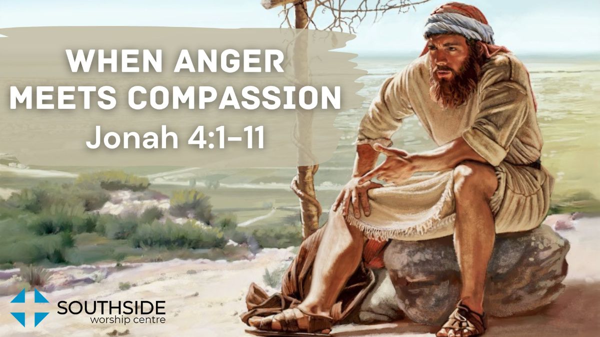 SWCPLo's tweet image. WEEKEND UPDATE - June 12th - mailchi.mp/827bbd0fd9de/w…