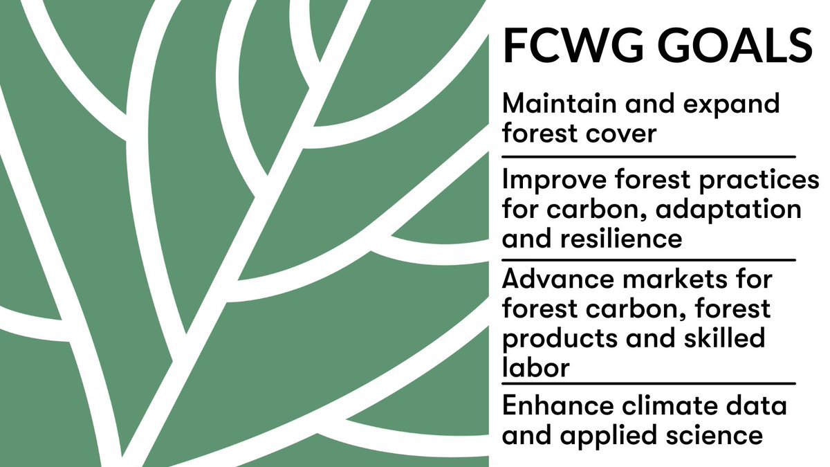 carbon_180's tweet photo. 🌲The US is home to 765M acres of forestland, which can be a powerful tool for carbon removal — with the right management, research & funding. #ForestClimateWeek
🔗More on forest CDR: https://t.co/GbrW9flwcl https://t.co/AMXvVclW6W