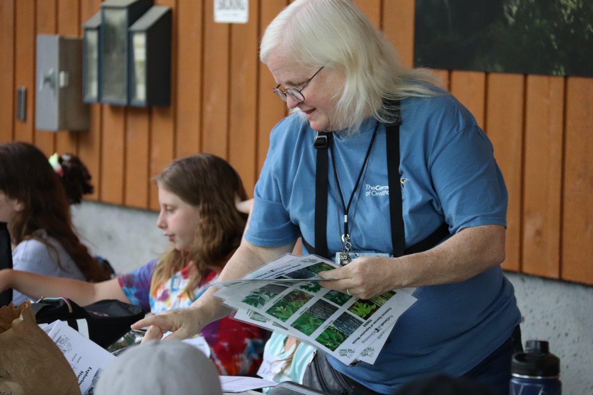 KDTIthaca tweet media