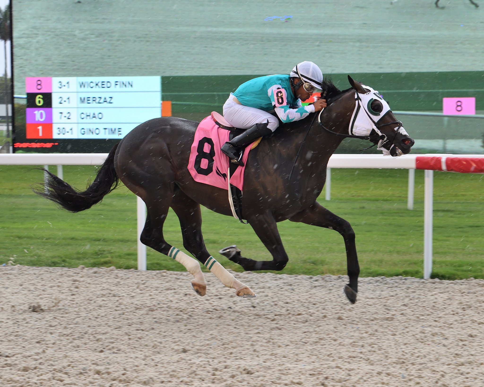 Gulfstream Park Scratches Today - lq793sd