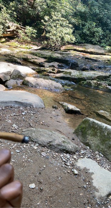 Nature and blunts ☀️ https://t.co/g4HAsZeWQD<a href="/tag/charlottefindom"class="tags"><span>#charlottefindom</span></a><a href="/tag/charlottesubs"class="tags"><span>#charlottesubs</span></a><a href="/tag/ashevillefindom"class="tags"><span>#ashevillefindom</span></a>