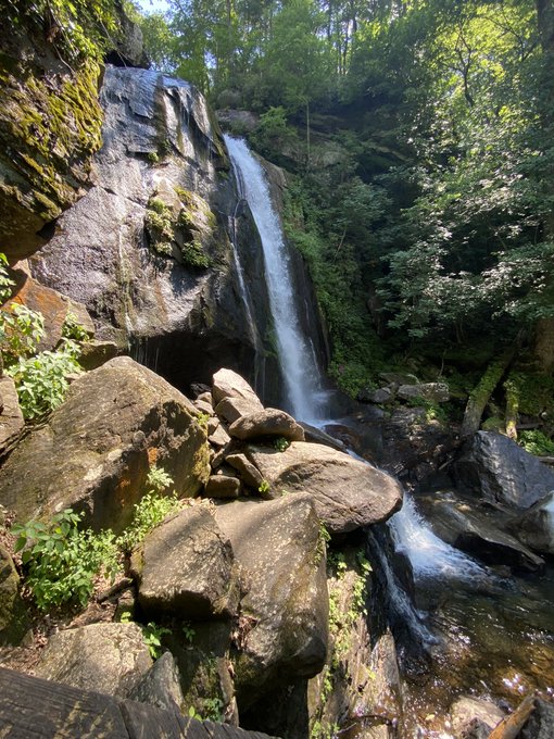 Nature and blunts ☀️ https://t.co/g4HAsZeWQD<a href="/tag/charlottefindom"class="tags"><span>#charlottefindom</span></a><a href="/tag/charlottesubs"class="tags"><span>#charlottesubs</span></a><a href="/tag/ashevillefindom"class="tags"><span>#ashevillefindom</span></a>