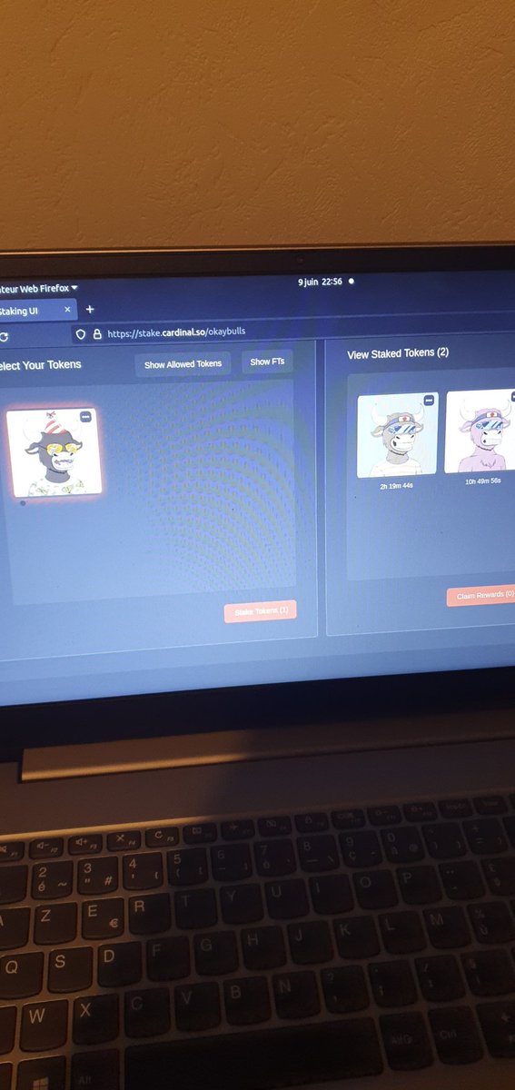 Soluni20's tweet photo. Just bought a third bull. So bullish @okaybulls 🚀 https://t.co/9ShdhbFFP1