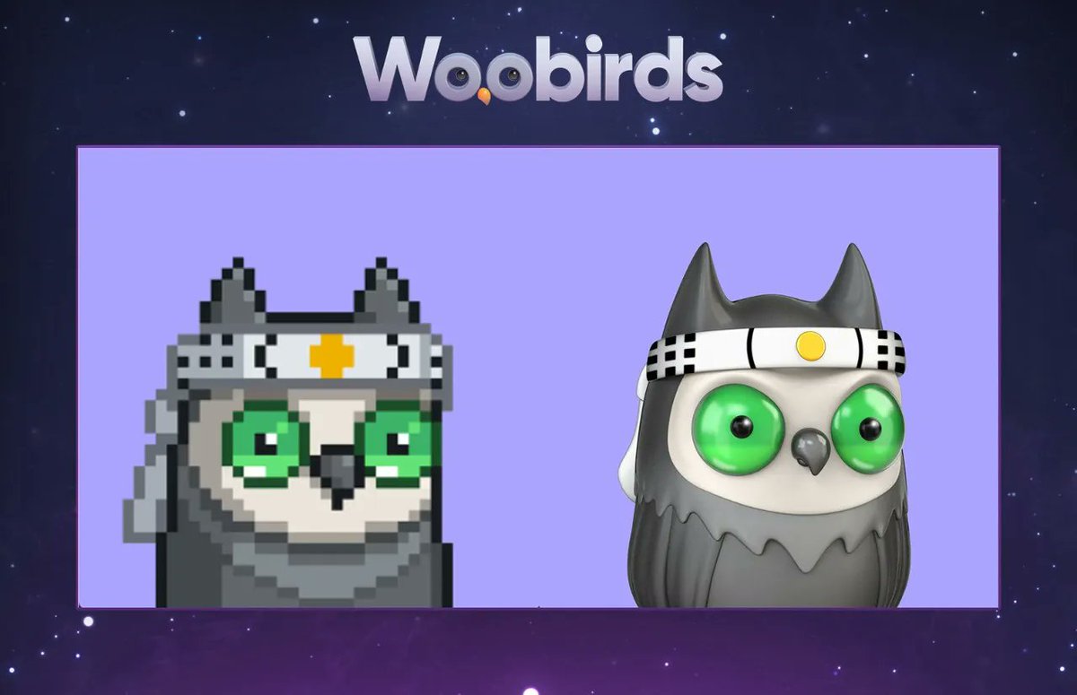 WoobirdsNFT's tweet photo. This other MyaguiDo apprentice asked to be Woobirded. We are getting a lot of requests from karate fighters; I think LaRusso has signed up for the regional championship.

#NFTs #NFTProject #NFTCommunity https://t.co/TgFyQ2mMk9