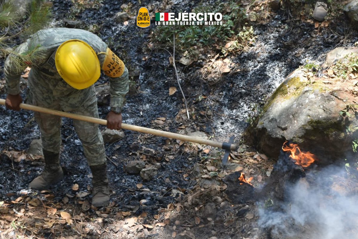 Defensamx1's tweet photo. ¡Nuestra misión eres tú!
Personal del #EjércitoMexicano perteneciente a la #42ZonaMilitar, aplicó el #PlanDNIIIE en la sofocación de un incendio forestal en la localidad #SierraObscura del municipio #DeMoris en #HidalgoDelParral, Chih.
#UnidosSomosLaGranFuerzaDeMéxico. https://t.co/D8nSDDvKaq