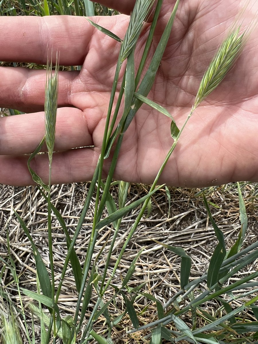 Brian Hildebrand tweet media