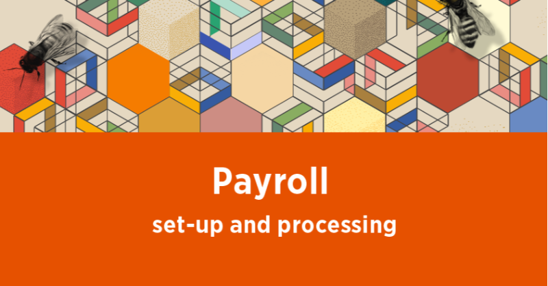 LibertyAccounts's tweet photo. Free interactive webinar today at 10AM via zoom, ask questions about Payroll set-up and processing directly!

Book your place for today's course and any future courses you would like to attend!

#accountinguk #charityUK #onlineaccounting #churchofengland #payroll #payrolltool #uk