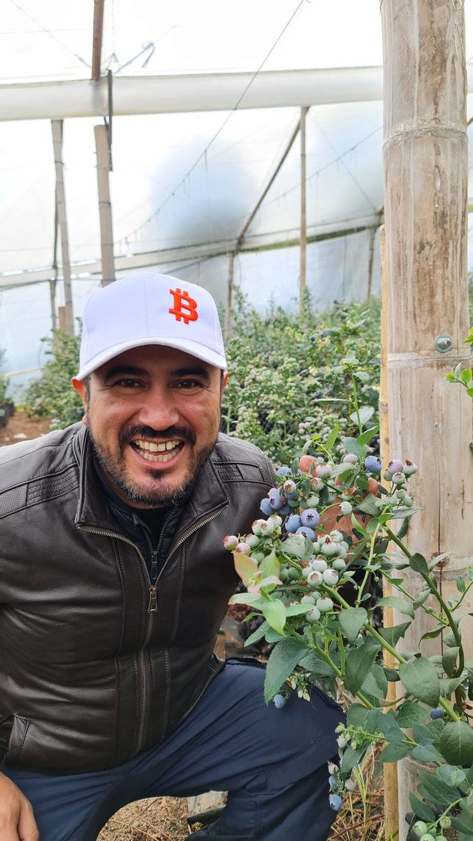 luisgaguilar's tweet photo. Applying #blockchain to the #Agro and developing a new financial system.
.
#NFT #tokenecohealth #Agroblockchain @joangodoym https://t.co/IqGSVHJXre