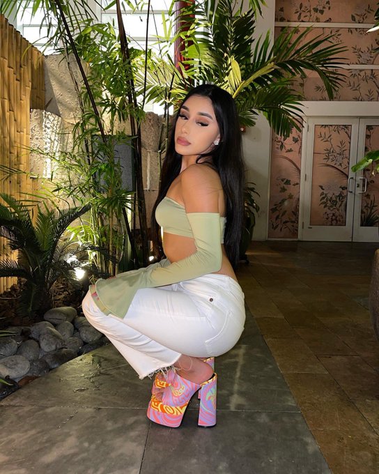 TW Pornstars - YL. The latest pictures and videos from Twitter for all