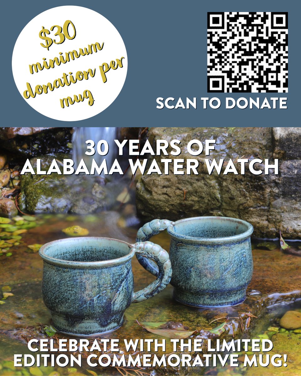 Eve Brantley tweet media