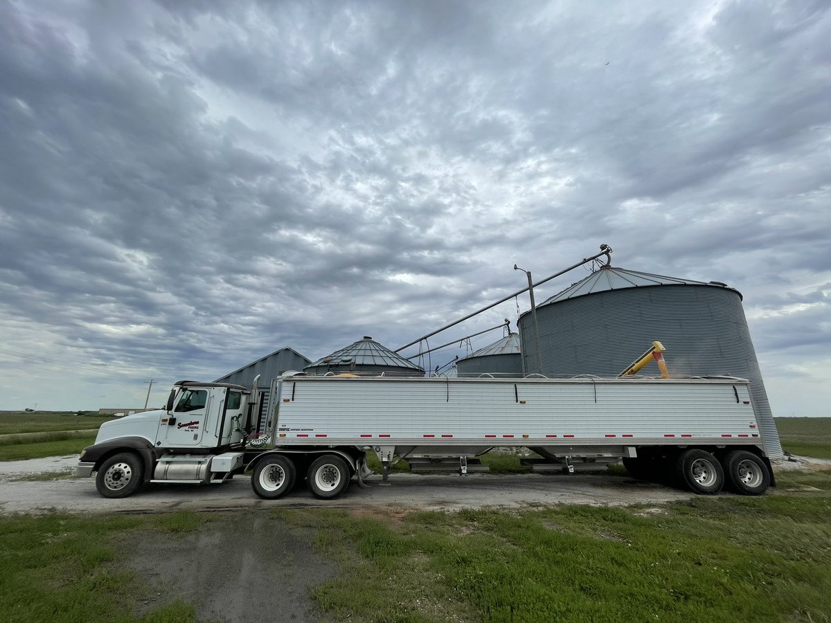 brent_scamehorn's tweet photo. Great day to haul some #EnogenCorn #biofuels @NKSeeds @SyngentaUS https://t.co/iO1LNW6lSF