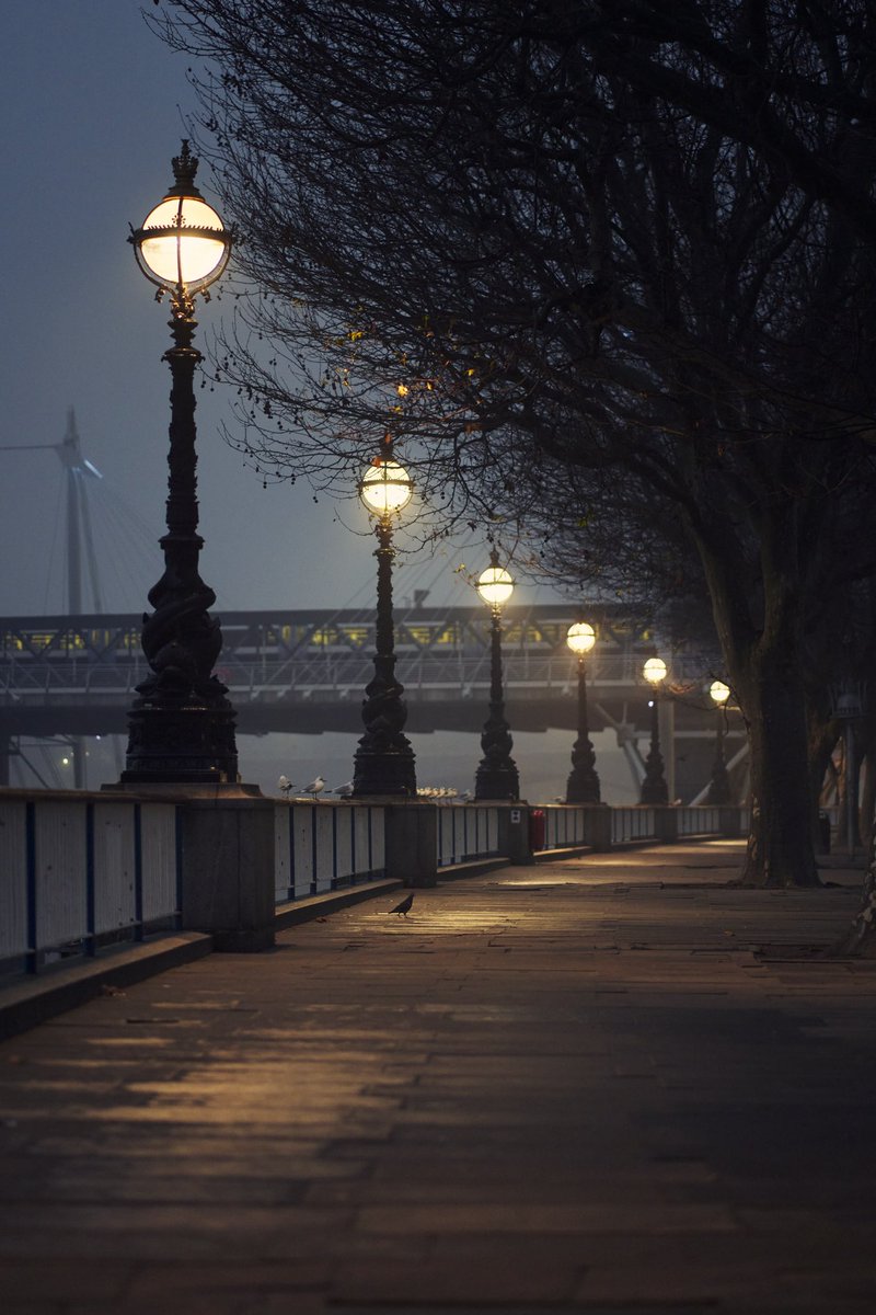 Ron Timehin tweet media