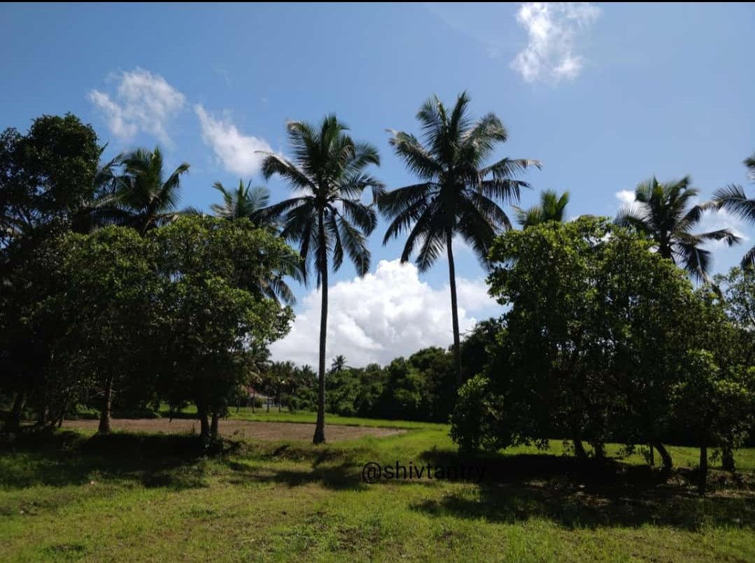 shiv0706's tweet image. #Mattu #katapadi #udupi
@VisitUdupi