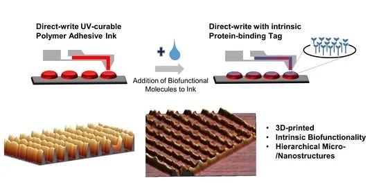 Polymers_MDPI's tweet image. 🔍Paper published in #mdpipolymers: "Integration of #Biofunctional #Molecules into 3D-Printed Polymeric Micro-/#Nanostructures" by Eider Berganza et al.

See more at: bit.ly/3Qf3TiQ