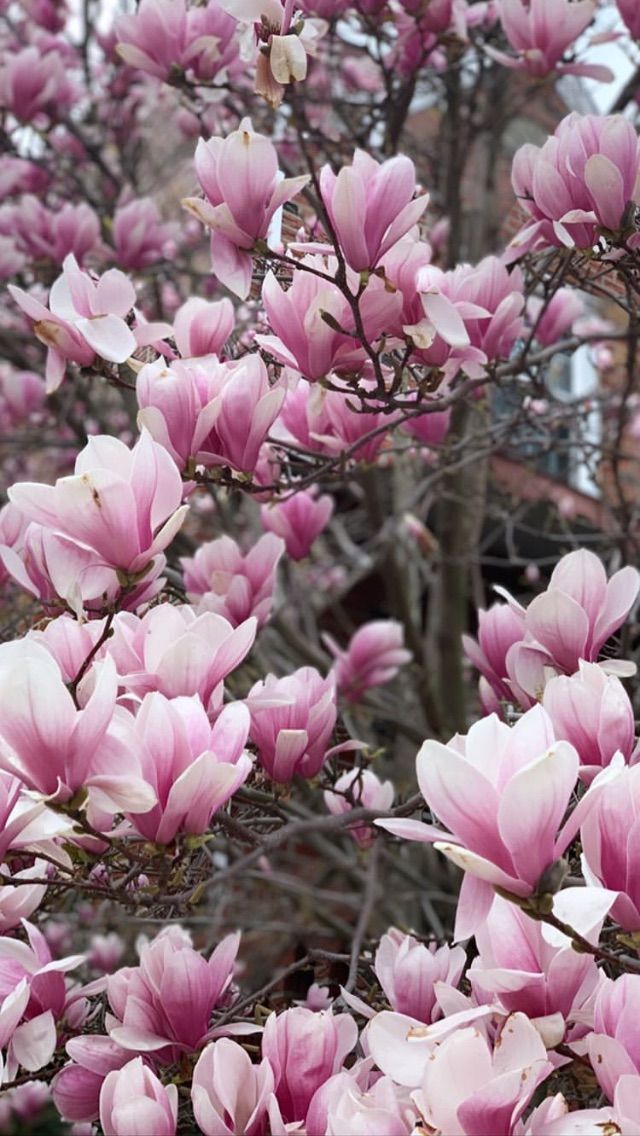 anchalshahzad22's tweet image. Answer the easy questions first.
#answer #easyquestions #first